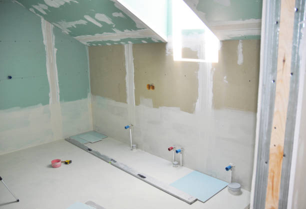 Best Environmental Consulting for Mold Prevention  in Louisburg, KS