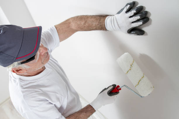 Biohazard Mold Removal in Louisburg, KS