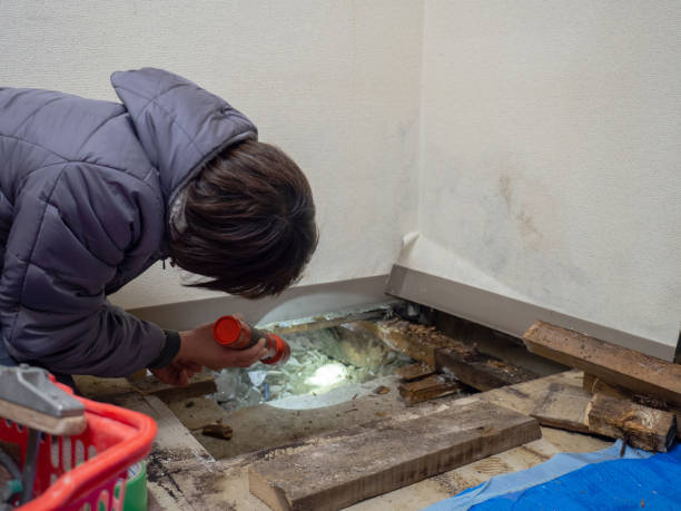 Mold Remediation for Rental Properties in Louisburg, KS