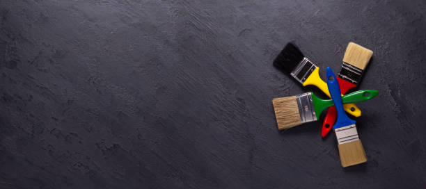 Best Mold Prevention Services  in Louisburg, KS
