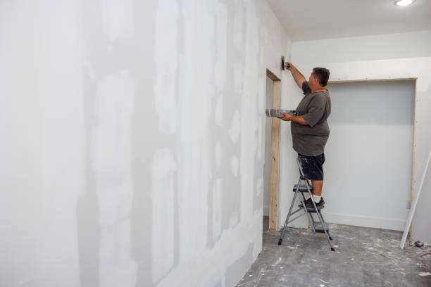 Best Mold Remediation for Healthcare Facilities  in Louisburg, KS