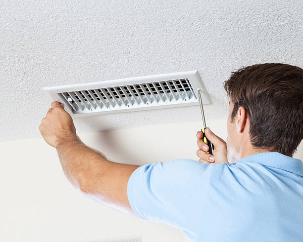 Best Black Mold Removal  in Louisburg, KS