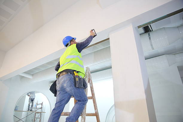 Best Mold Removal for HVAC Installations  in Louisburg, KS