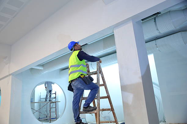 Best Post-Remediation Verification Testing  in Louisburg, KS