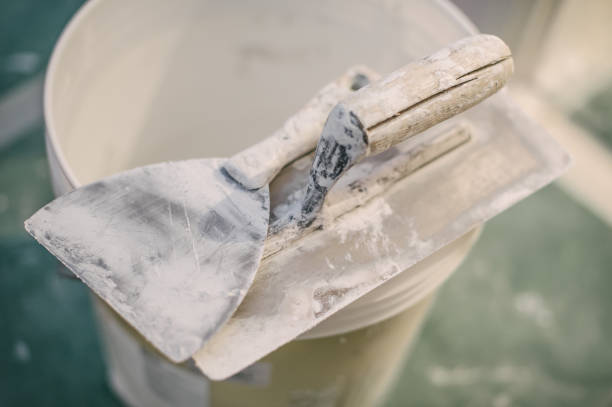 Best Air Quality Testing for Mold Spores  in Louisburg, KS