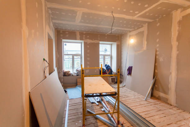 Mold Odor Removal Services in Louisburg, KS